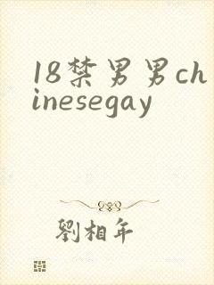 18禁男男chinesegay