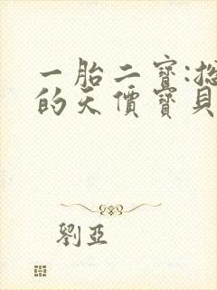 一胎二宝:总裁的天价宝贝封面