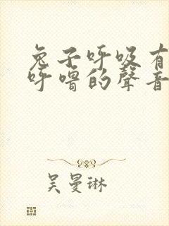 兔子呼吸有呼噜呼噜的声音