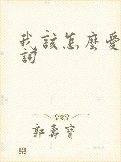 我该怎么爱你歌词封面