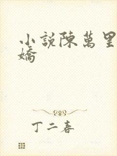 小说陈万里宋娇娇封面