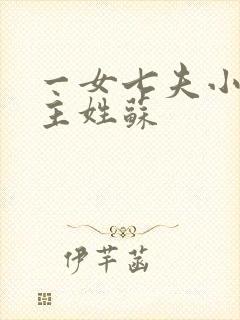 一女七夫小说女主姓苏