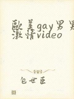 欧美gay男男激情video封面