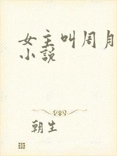 女主叫周月丫的小说