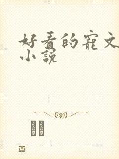 好看的宠文甜文小说封面