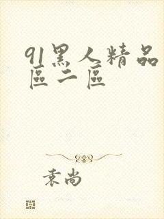 91黑人精品一区二区