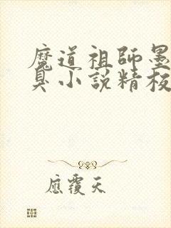魔道祖师墨香铜臭小说精校版全集txt封面
