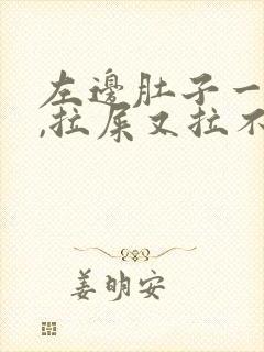 左边肚子一直疼,拉屎又拉不出封面