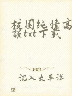校园纯情高手小说txt下载封面