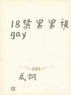 18禁男男视频gay