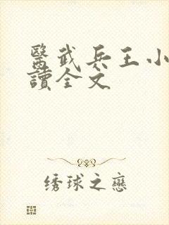 医武兵王小说阅读全文