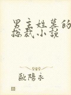 男主姓慕的所有总裁小说