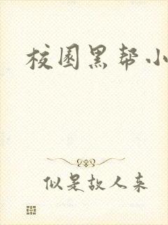 校园黑帮小说封面