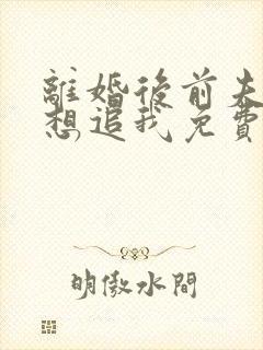 离婚后前夫总是想追我免费阅读