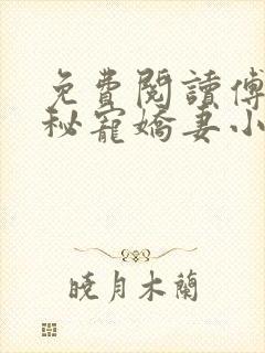 免费阅读傅少的秘宠娇妻小说