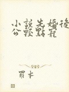 小说先婚后爱老公轻点宠