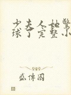 少夫人她惊艳全球了完整小说封面