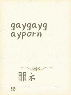 gaygaygayporn
