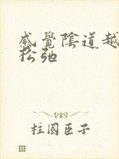 感觉阴道越来越松弛