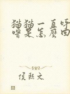 猫猫一直呼噜呼噜是怎么回事