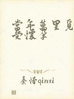 当年万里觅封侯受怀孕