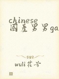 chinese国产男男gay gay网站封面
