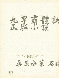 九星霸体诀龙尘正版小说