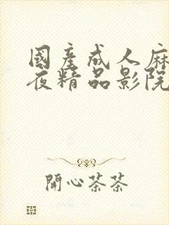 国产成人麻豆午夜精品影院游乐网