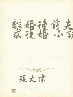 离婚后前夫哭着求复婚 小说阅读