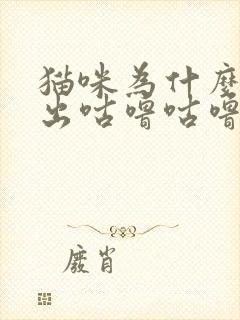 猫咪为什么会发出咕噜咕噜的声音封面