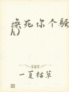 操死你个骚货(h)