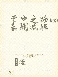 掌中之物txt未删减版