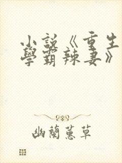 小说《重生九零学霸辣妻》