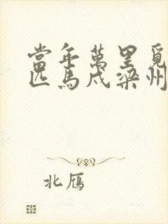 当年万里觅封侯匹马戍梁州