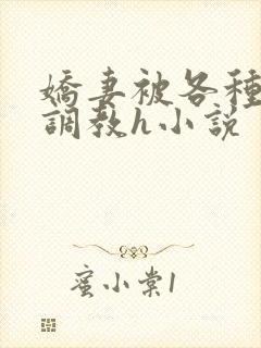 娇妻被各种刑具调教h小说