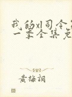 我的xl司令第一季全集免费播放