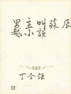 男主叫苏辰的穿越小说