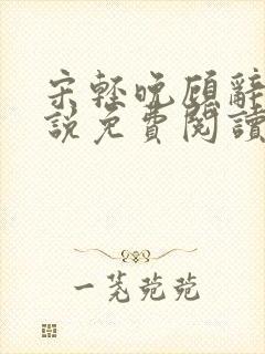 宋轻晚顾辞渊小说免费阅读