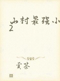 山村最强小农民2