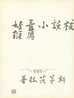 好看小说校园文推荐封面