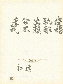 老公出轨提离婚我不想离婚封面