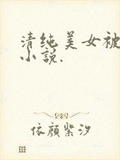 清纯美女被爆操小说.