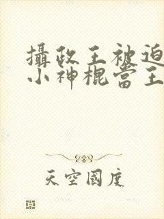 摄政王被迫娶了小神棍当王妃小说