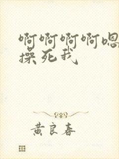 啊啊啊啊嗯嗯嗯操死我