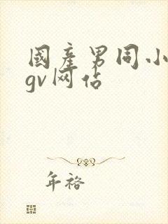 国产男同小鲜肉gv网站