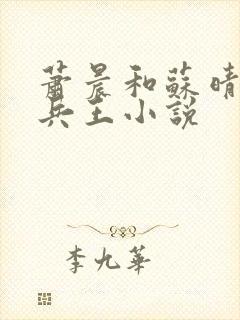 萧晨和苏晴全能兵王小说