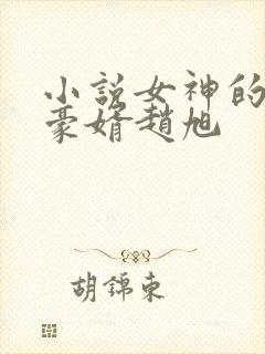 小说女神的上门豪婿赵旭封面