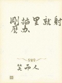 刚插里就射精怎么办