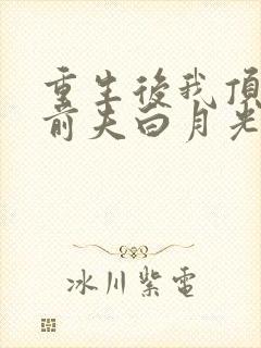 重生后我顶替了前夫白月光w