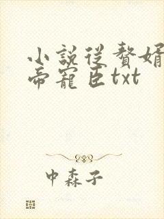 小说从赘婿到女帝宠臣txt封面